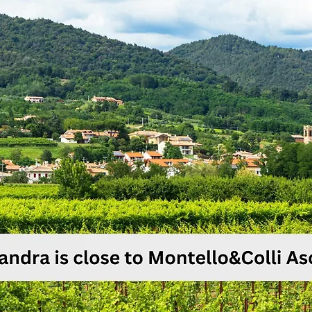 Ca'sandra - Refuge Among The Prosecco Vines דירה